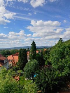 Ferienwohnung Richter - Pirna - 8