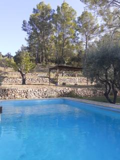 Chambre d'hôte Belle Vue - Carcès - 7