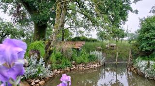 Grand gite Bressan 1h de nord Lyon - 0