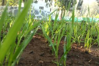 Yogvan Rejoice Home - Kharakvasla - 2