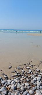 Dieppe plage à 300m - 5