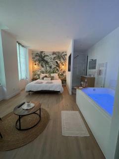 Le Duplex : Balneo, lit queen size - Beaugency - 0