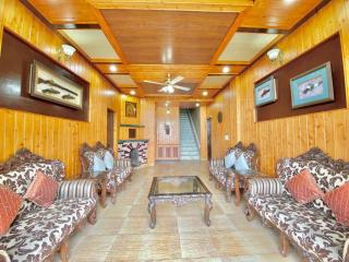 The Rustic villa kasauli - Kasauli - 9