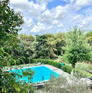 Blue Garden - 5