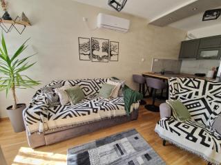 Apartmani Djuric Grey - Subotica - 8
