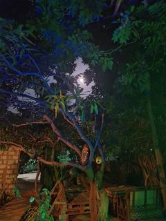 Akki's Hostel - 7