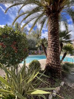 La Villa Roseraie , Hôtel Familial OUVERT TOUTE L'ANNEE - Vence - 7