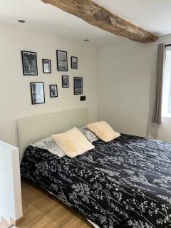 Le studio des oiseaux - 5