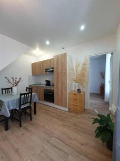 Appart'hôtel, IKIMO 5 appartements entiers à votre disposition au choix - Nancy - 5