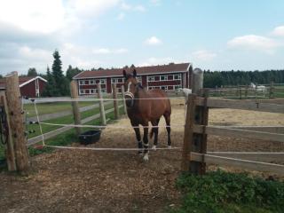 LappmarkenIX rentals - 4