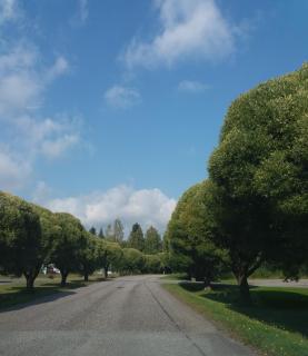 LappmarkenIX rentals - 1