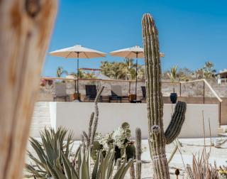 Baja Temple - Todos Santos - 7
