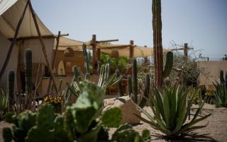 Baja Temple - Todos Santos - 1