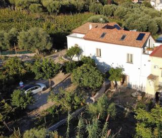 n'haidea - AgriFarm e B&B - Lettere - 9