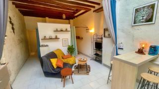 Studio cosy hypercentre Terrasse - Blois - 6