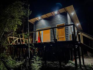 Hermoso Lodge Inserto en Bosque Andino Pucón - Pucón - 5