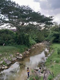 SimpleHome - Tupai - 6