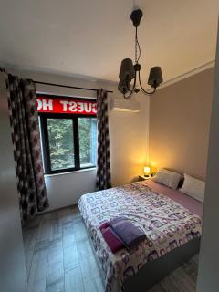 Comfort Guest Rooms - 8