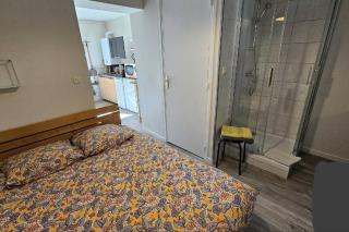 Appartement au cœurs d'Aurillac - Aurillac - 4