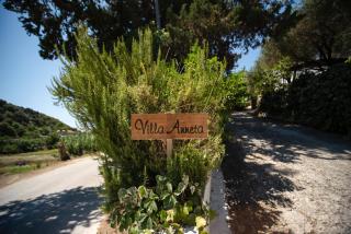 Villa Anneta - Vitalades - 9