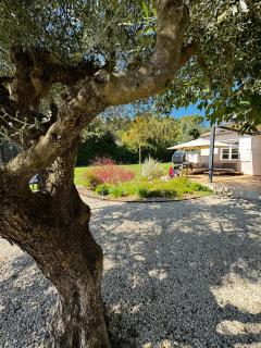 Villa - Piscine au sel - Terrain de Pétanque - Jardin - Climatisation - Rochefort-du-Gard - 8
