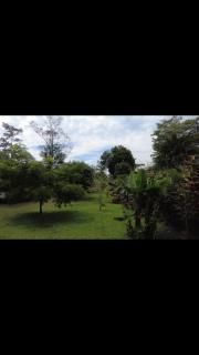 Arenal Hostel La Catarata - Fortuna - 6