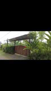 Arenal Hostel La Catarata - Fortuna - 5