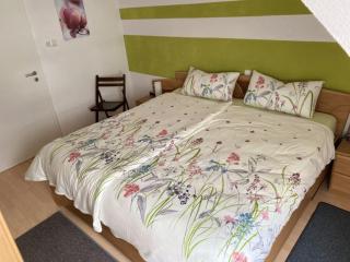 Apartment Philipps 2 - 1
