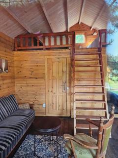 Vilos NEMUNO SLĖNIS namukai - Birštonas - 6