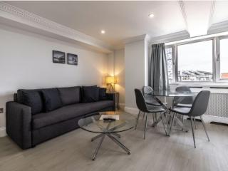 2 Bedroom Apartment Canning Town Newham ExCeL London with free Parking - Londra - 0