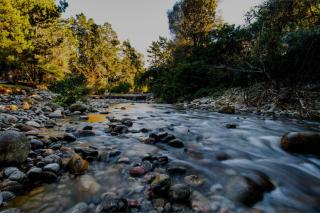 Sapphire Springs Holiday Park and Thermal Pools - Katikati - 3