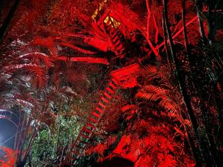 Casa del Arbol Feel Good - Naranjo - 2
