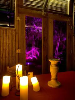 Casa del Arbol Feel Good - Naranjo - 6
