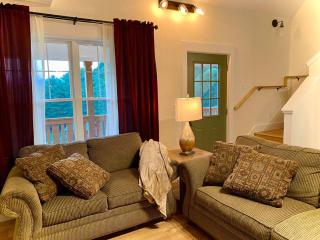 New 2BR house, panoramic views, 15 min to DT AVL - Candler - 7