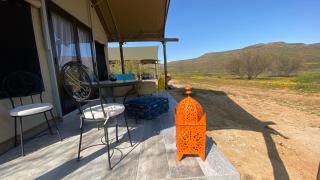 Marquee Safari Tent lachenalias - 6