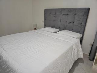 Apartamentos confortables - La Barbacoa - 5