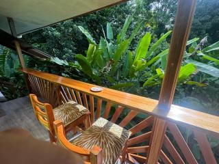 Chilamate Room 2 - Tortuguero - 5