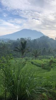 Uma Iseh Bali - Karangasem - 7
