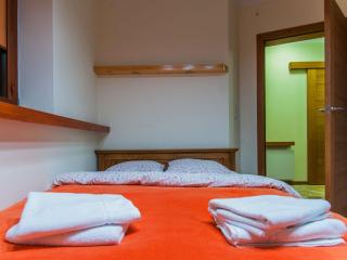 Apartamenty Domino - Kościelisko - Kościelisko - 6