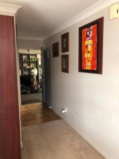 Sunny, quiet, 2-bedroom unit in fabulous location! - Cambridge - 8
