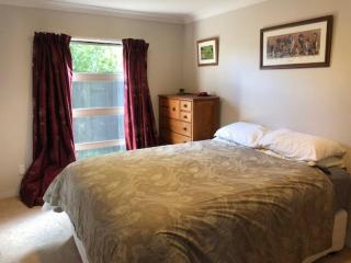 Sunny, quiet, 2-bedroom unit in fabulous location! - 5