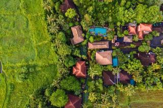 Drisiana 1 BR Deluxe Garden ZN233 - Ubud - 5