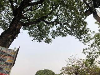 Cheap rooms in Chiang Mai ห้องพักรายวันราคาถูกเชียงใหม่ - Chiang Mai - 5