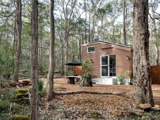 Luxury Tiny Homes in the Forest - Rosa Glen - 1
