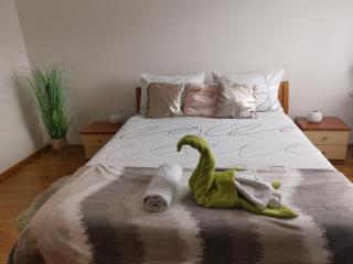 DOWNTOWN Fiume, underground Garage within the property - Rijeka - 9