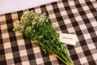 ALFRED HOTELS Port-Vieux - Biarritz - 1