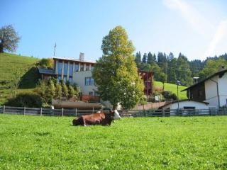 Studio 21a - Hopfgarten im Brixental - 8