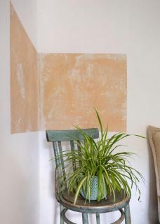 MILK HOUSE- Laidi Palace residency - 8