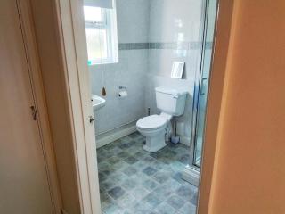 Wrens Nest Newcastle Emlyn Carmarthenshire - 3