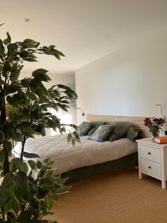 Villa Saint Martin - Malemort-du-Comtat - 5